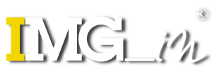 IMG-IN Logo